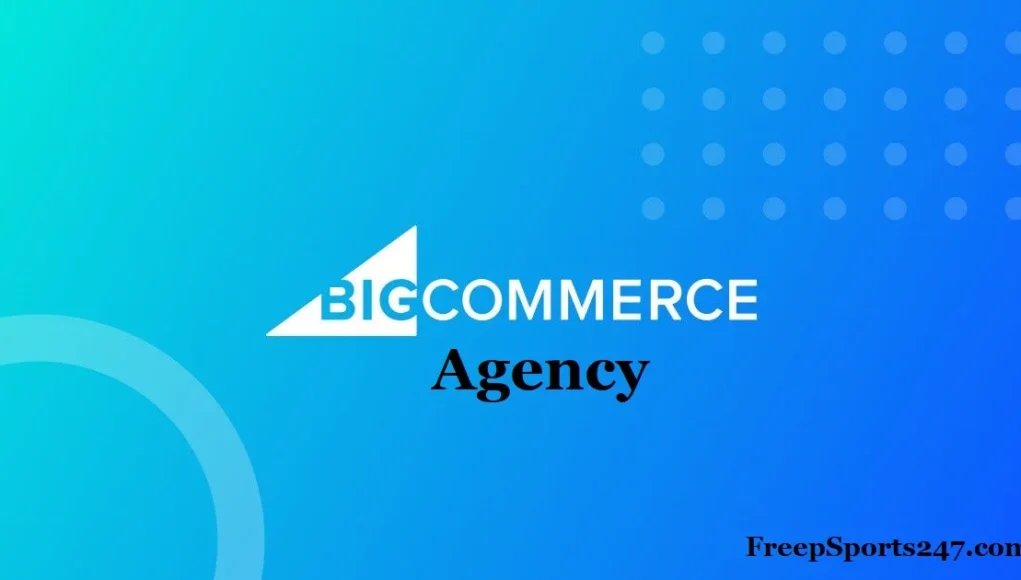 Investing in a BigCommerce Agency