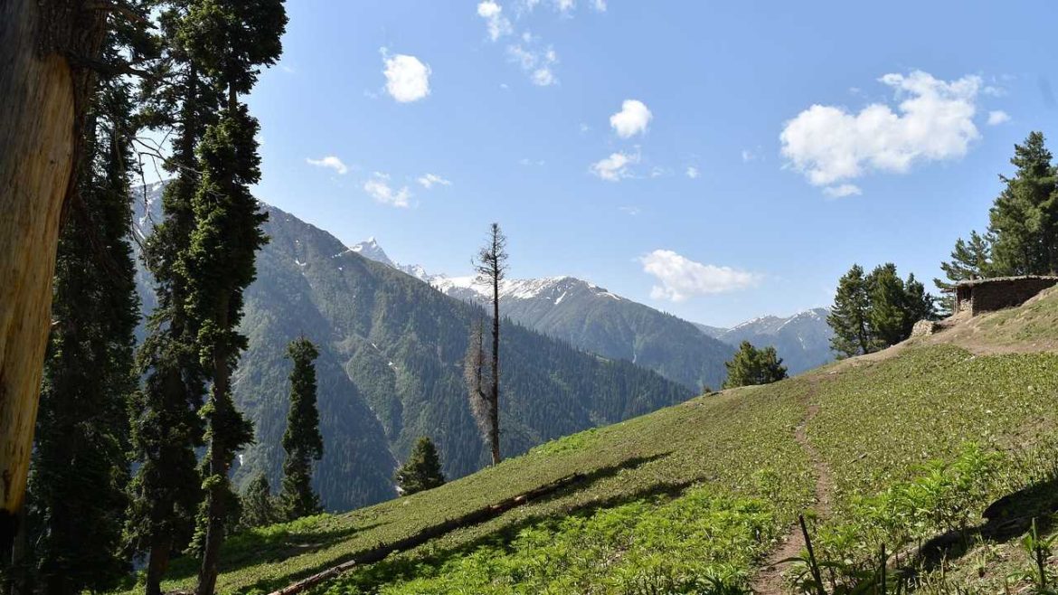Nagpur To Kashmir Packages: Best Natural Attractions To Visit