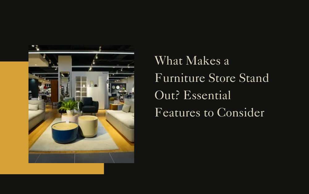 What Makes a Furniture Store Stand Out? Essential Features to Consider