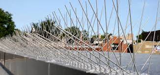 Bird Spikes in Dubai: A Solution for Urban Bird Control