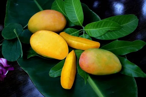 Find the Best Pakistani Mangoes Online