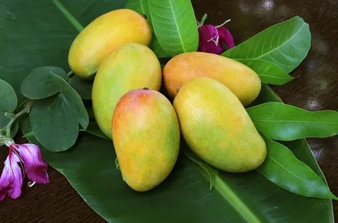 Best Pakistani Mangoes Online